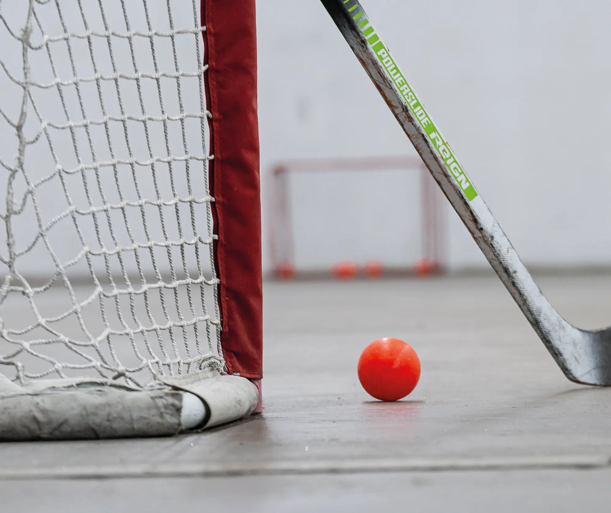 Hockey and open skate